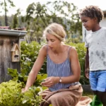 To shield our fruits and vegetables from the effects of climate change, scientists are pioneering innovative techniques for growing resilient plants.