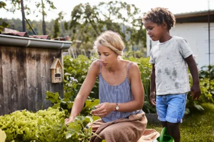 To shield our fruits and vegetables from the effects of climate change, scientists are pioneering innovative techniques for growing resilient plants.