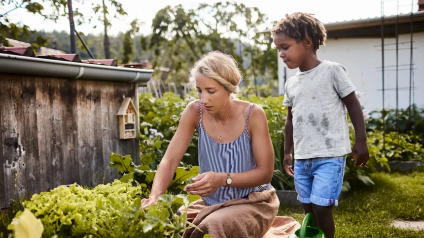 To shield our fruits and vegetables from the effects of climate change, scientists are pioneering innovative techniques for growing resilient plants.